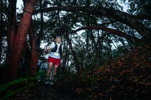 BIB: 
                            <button type="button" onclick="openModal(26342785)" class="btn btn-primary btn-sm float-right btn-popup" data-toggle="modal" data-target=".modal-high-quality">
                        <i class="fas fa-shopping-cart"></i> Add to Cart
                    </button>
                                            <button type="button" onclick="isThisMe(26342785, true)" class="btn btn-success btn-sm float-right btn-popup btn-isme hidden" data-toggle="tooltip" data-placement="bottom" title="นี่คือรูปของคุณใช่ไหม คลิกที่นี่เพื่อเอาเข้าอัลบั้ม">
                        <i class="fas fa-plus"></i> Add to album
                    </button>
                    <button type="button" onclick="isThisMe(26342785, false)" class="btn btn-warning btn-sm float-right btn-popup btn-isnotme hidden">
                        <i class="fas fa-ban"></i> Remove from album
                    </button>